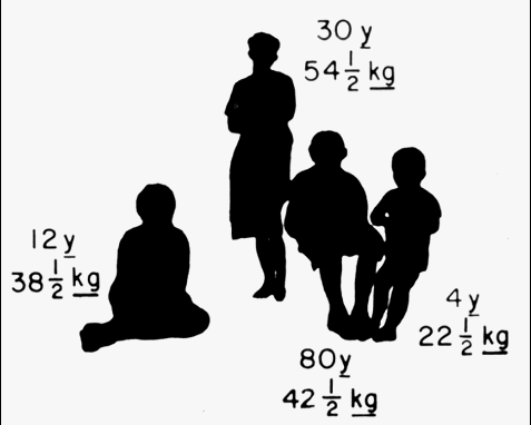Diagram of family ages